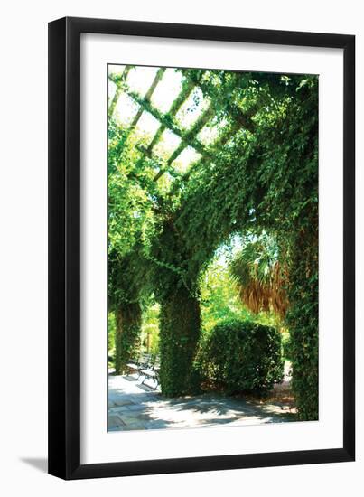 Ivy 1-Alan Hausenflock-Framed Photographic Print