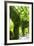 Ivy 2-Alan Hausenflock-Framed Photographic Print