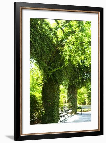 Ivy 2-Alan Hausenflock-Framed Photographic Print