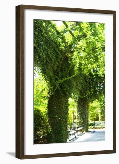 Ivy 2-Alan Hausenflock-Framed Photographic Print