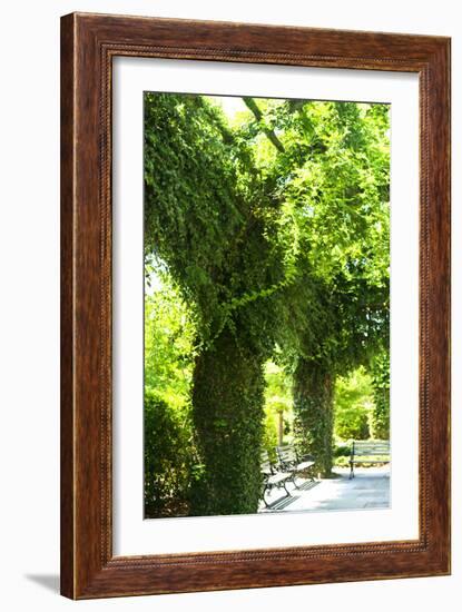 Ivy 2-Alan Hausenflock-Framed Photographic Print