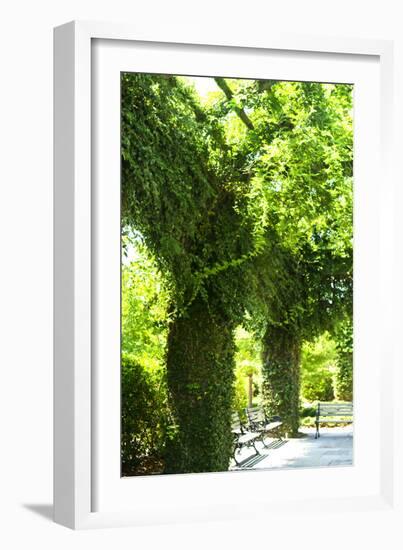 Ivy 2-Alan Hausenflock-Framed Photographic Print