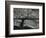 Ivy and Wall, New York, c. 1945-Brett Weston-Framed Photographic Print