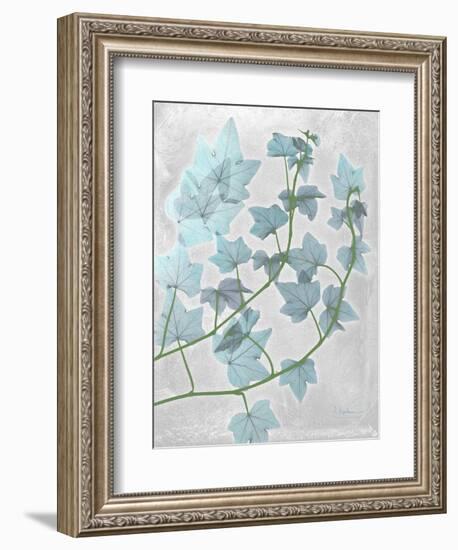 Ivy Blues-Albert Koetsier-Framed Art Print