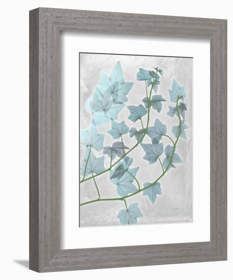 Ivy Blues-Albert Koetsier-Framed Art Print