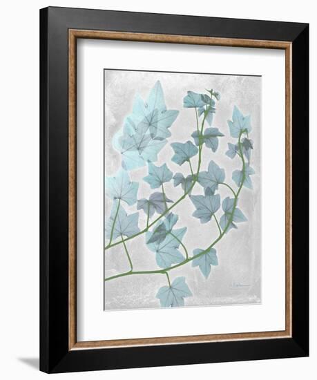 Ivy Blues-Albert Koetsier-Framed Art Print