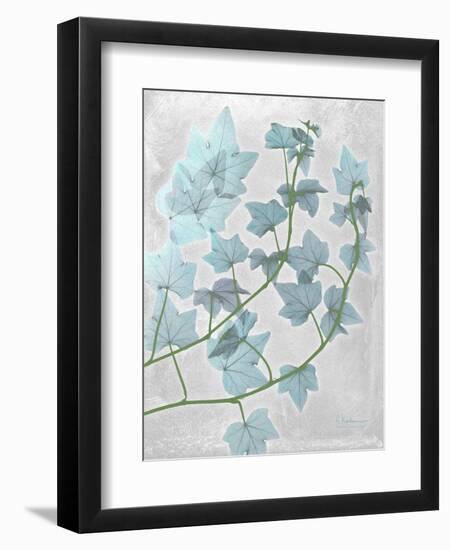 Ivy Blues-Albert Koetsier-Framed Art Print