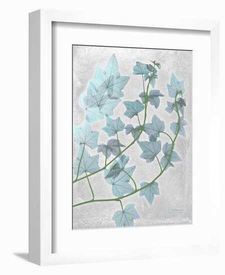 Ivy Blues-Albert Koetsier-Framed Art Print