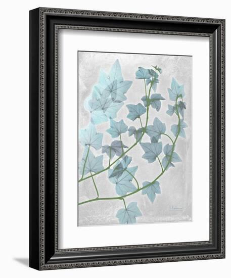 Ivy Blues-Albert Koetsier-Framed Art Print