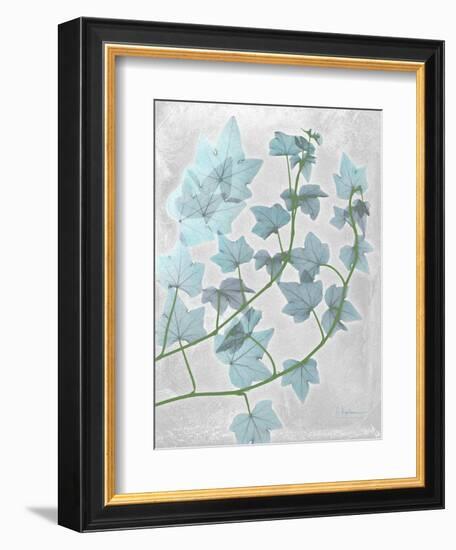 Ivy Blues-Albert Koetsier-Framed Art Print