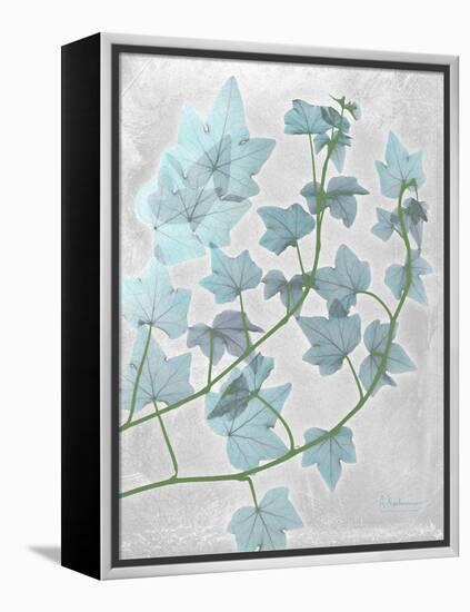 Ivy Blues-Albert Koetsier-Framed Stretched Canvas