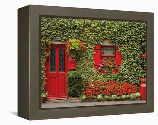 Ivy Covered Cottage, Town of Borris, County Carlow, Leinster, Republic of Ireland, Europe-Richard Cummins-Framed Premier Image Canvas