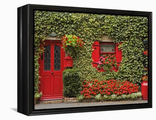 Ivy Covered Cottage, Town of Borris, County Carlow, Leinster, Republic of Ireland, Europe-Richard Cummins-Framed Premier Image Canvas