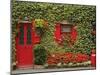 Ivy Covered Cottage, Town of Borris, County Carlow, Leinster, Republic of Ireland, Europe-Richard Cummins-Mounted Photographic Print