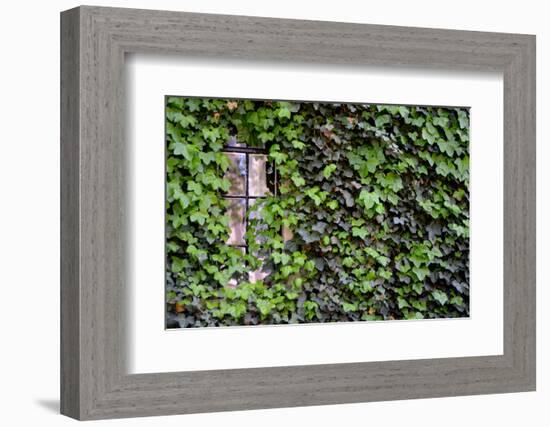 Ivy Covered House-Mr Doomits-Framed Photographic Print