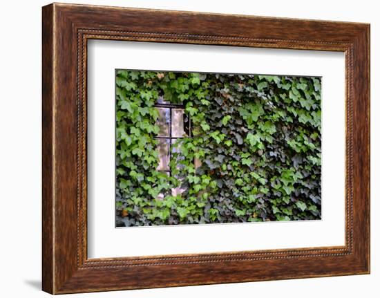 Ivy Covered House-Mr Doomits-Framed Photographic Print