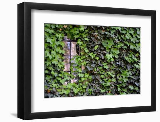 Ivy Covered House-Mr Doomits-Framed Photographic Print