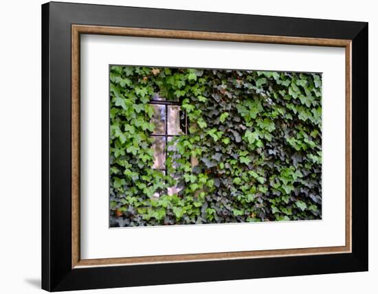 Ivy Covered House-Mr Doomits-Framed Photographic Print