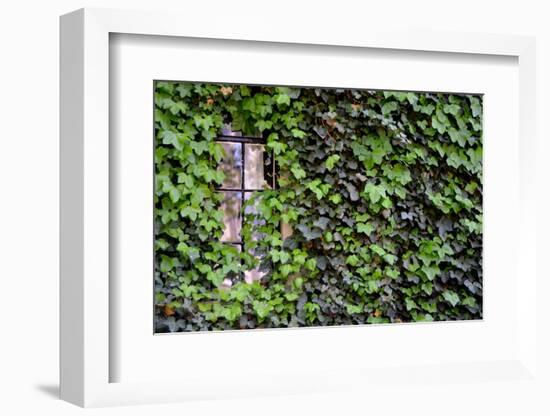 Ivy Covered House-Mr Doomits-Framed Photographic Print