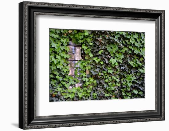 Ivy Covered House-Mr Doomits-Framed Photographic Print