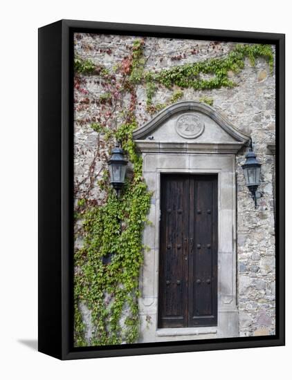 Ivy Covered Wall, San Miguel, Guanajuato State, Mexico-Julie Eggers-Framed Premier Image Canvas