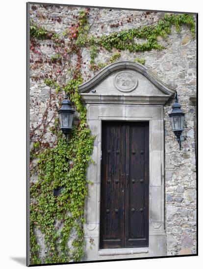 Ivy Covered Wall, San Miguel, Guanajuato State, Mexico-Julie Eggers-Mounted Photographic Print