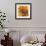 Ivy Geraniums-Philip Craig-Framed Art Print displayed on a wall