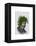 Ivy Head Plant Head-Fab Funky-Framed Stretched Canvas