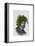 Ivy Head Plant Head-Fab Funky-Framed Stretched Canvas