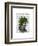 Ivy Head Plant Head-Fab Funky-Framed Art Print