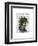 Ivy Head Plant Head-Fab Funky-Framed Art Print