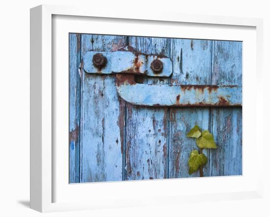 Ivy (Hedera Sp) Growing on Old Barn Door, Scotland, United Kingdom, Europe-Ann & Steve Toon-Framed Photographic Print