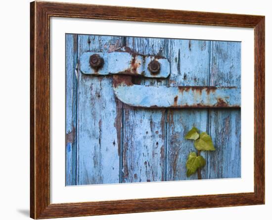 Ivy (Hedera Sp) Growing on Old Barn Door, Scotland, United Kingdom, Europe-Ann & Steve Toon-Framed Photographic Print