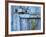 Ivy (Hedera Sp) Growing on Old Barn Door, Scotland, United Kingdom, Europe-Ann & Steve Toon-Framed Photographic Print