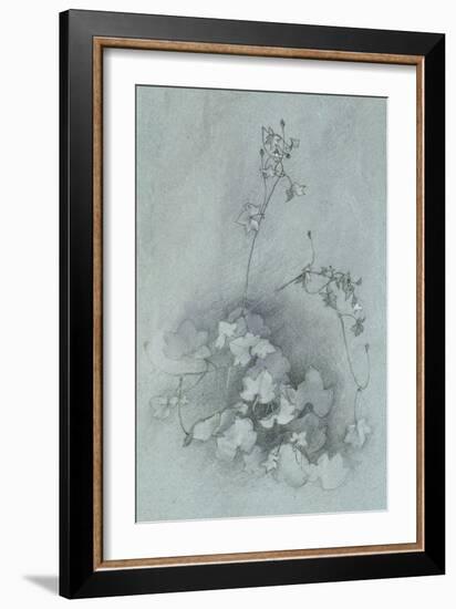 Ivy-Leaved Toadflax ('Oxford Ivy')-John Ruskin-Framed Giclee Print