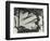 Ivy On Wall, New York, 1945-Brett Weston-Framed Photographic Print
