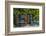 Ivy Surrounded House Front Door with Table and Chairs in Provence, France-Stefano Politi Markovina-Framed Photographic Print