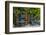 Ivy Surrounded House Front Door with Table and Chairs in Provence, France-Stefano Politi Markovina-Framed Photographic Print