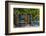 Ivy Surrounded House Front Door with Table and Chairs in Provence, France-Stefano Politi Markovina-Framed Photographic Print