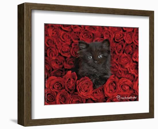 Ivy-Rachael Hale-Framed Photographic Print