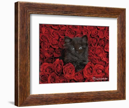 Ivy-Rachael Hale-Framed Photographic Print