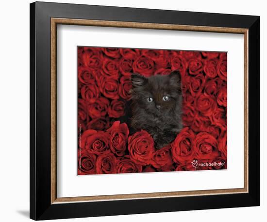 Ivy-Rachael Hale-Framed Photographic Print