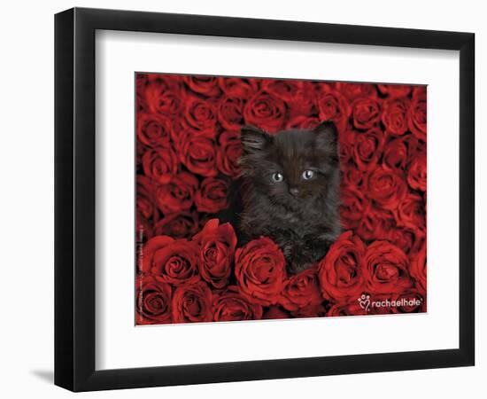 Ivy-Rachael Hale-Framed Photographic Print