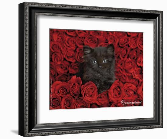 Ivy-Rachael Hale-Framed Photographic Print