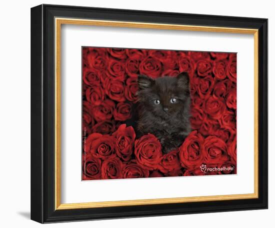 Ivy-Rachael Hale-Framed Photographic Print