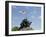 Iwo Jima Memorial, Arlington, Virginia, United States of America, North America-Robert Harding-Framed Photographic Print