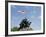 Iwo Jima Memorial, Arlington, Virginia, United States of America, North America-Robert Harding-Framed Photographic Print