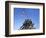 Iwo Jima Memorial, Arlington, Virginia, USA-Charles Gurche-Framed Photographic Print