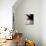 Ixo-Fabio Panichi-Mounted Photographic Print displayed on a wall