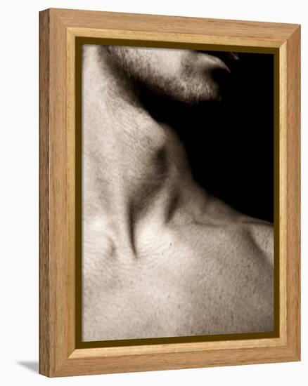 Ixo-Fabio Panichi-Framed Premier Image Canvas